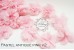 Peonies Chiffon Flower Trim (MEDIUM)  (Pack of 6)